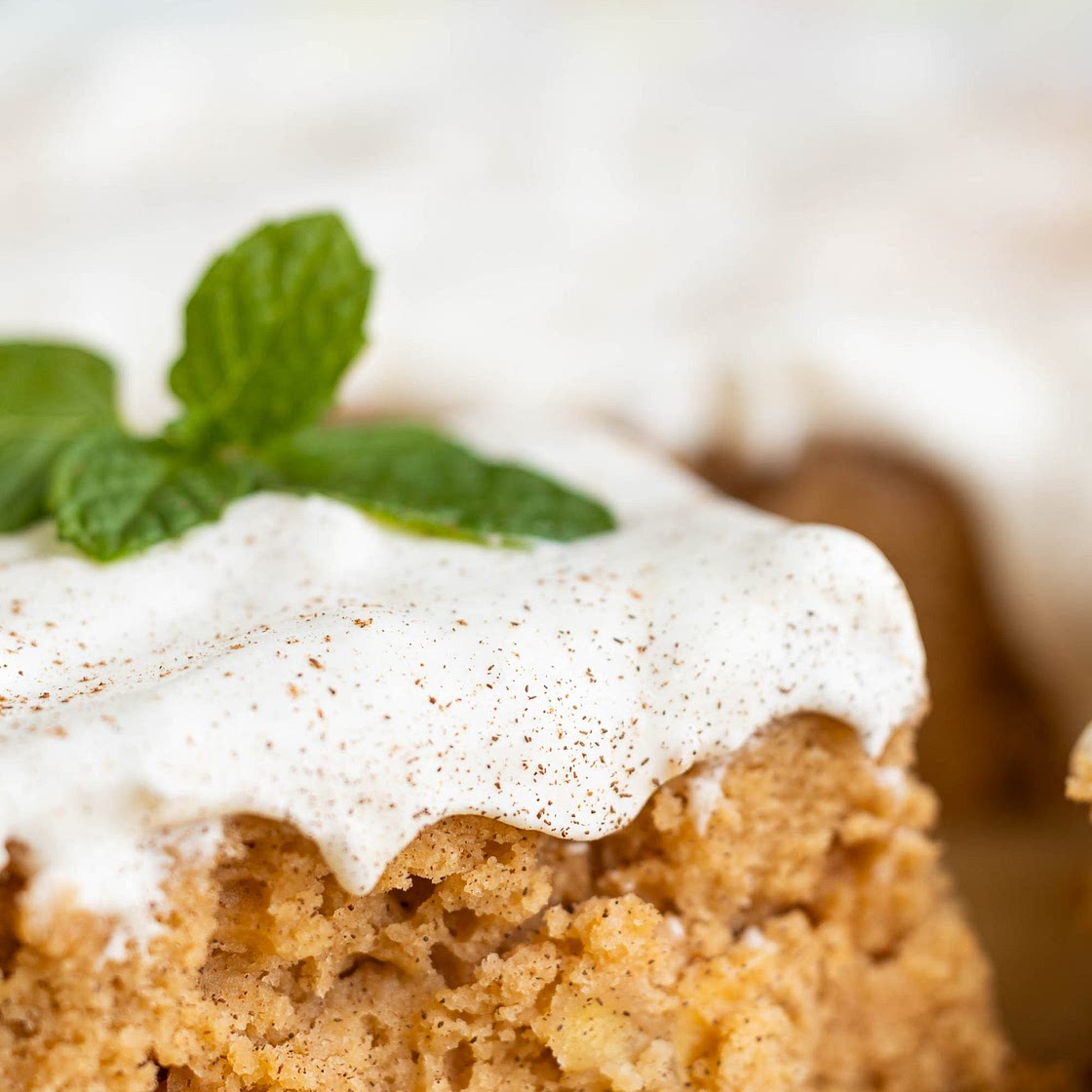 Potluck Apple Cake Recipe