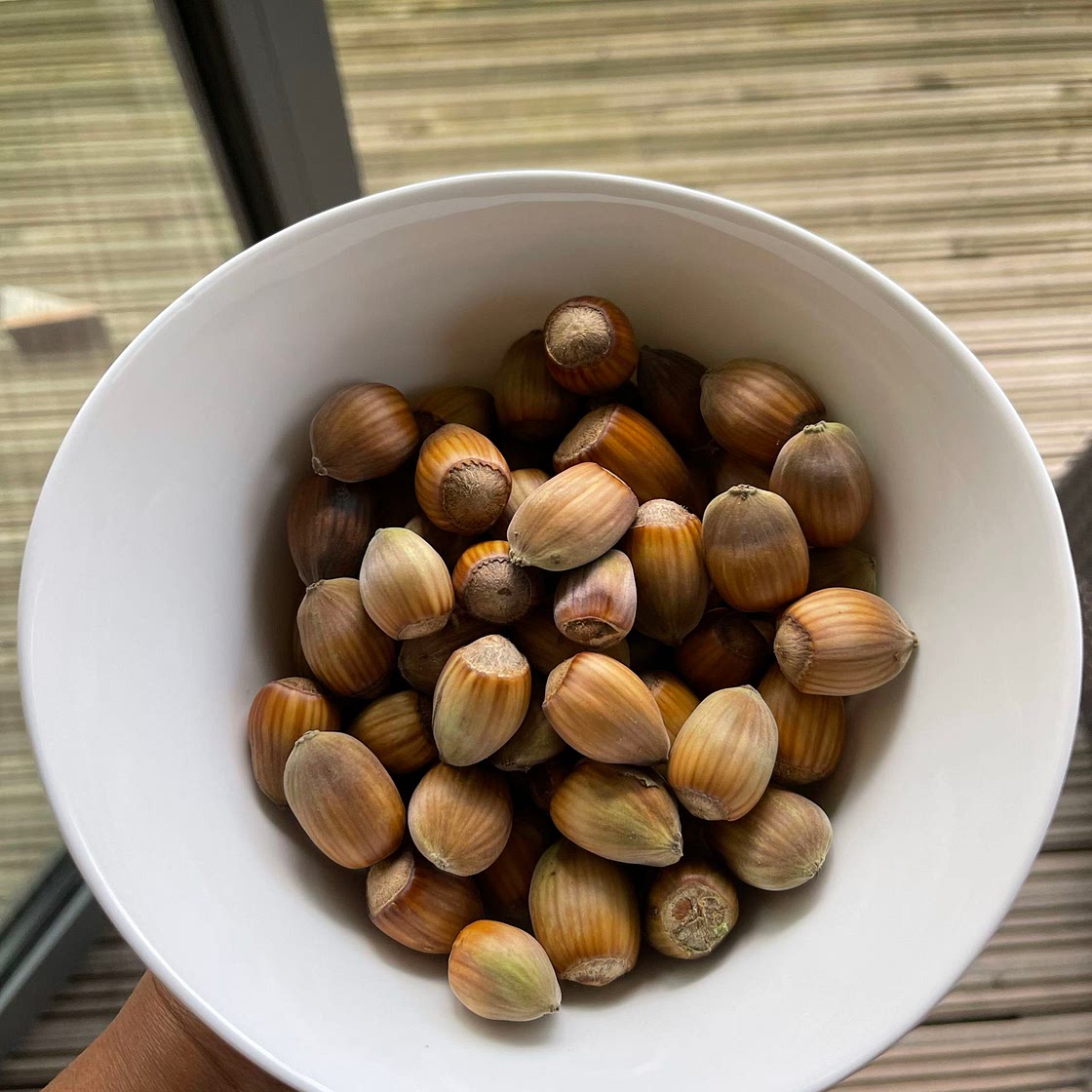 How to: nuts