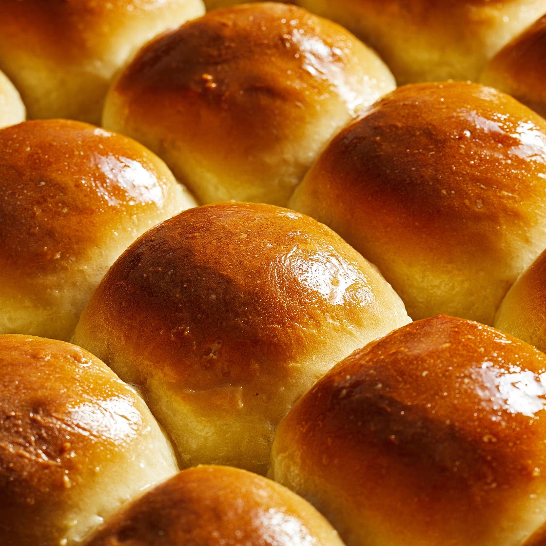 Dinner Rolls