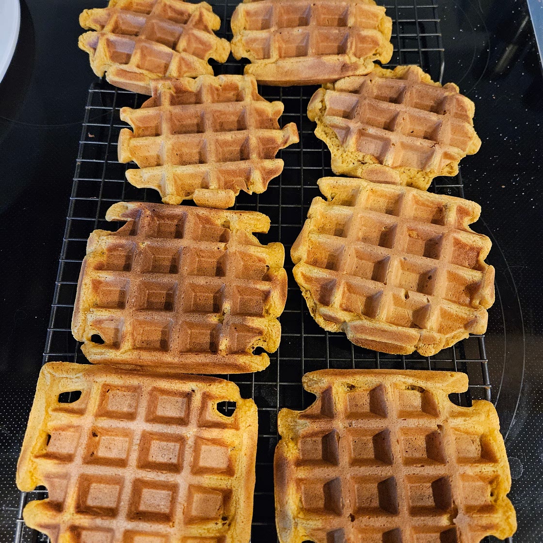 Eggless oatmeal waffles