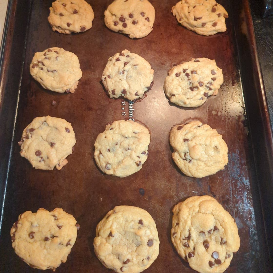 Chewy Chocolate Chip Cookies