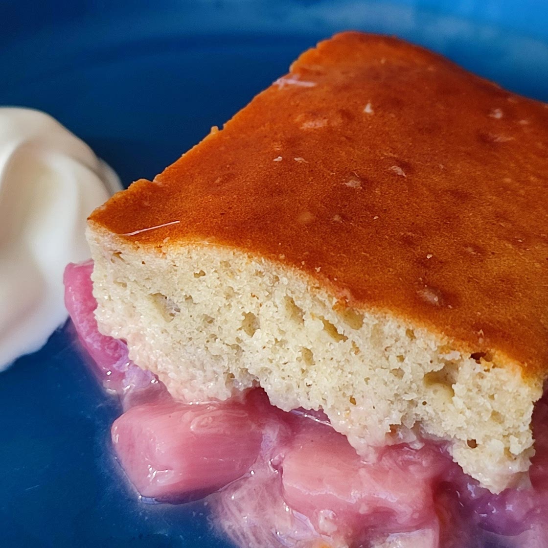 Rhubarb & Ginger Pudding