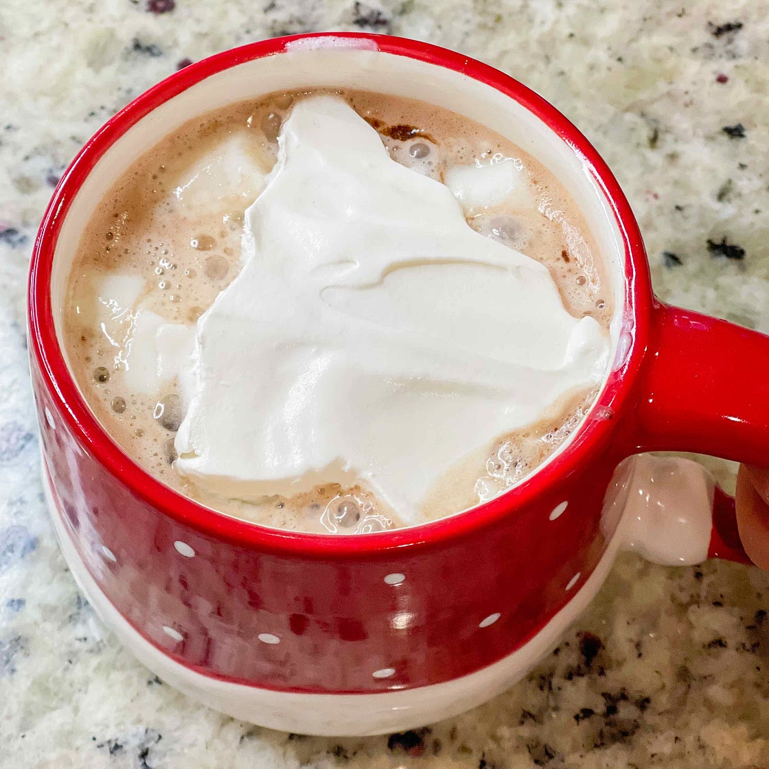 Slow Cooker Peppermint Hot Chocolate 