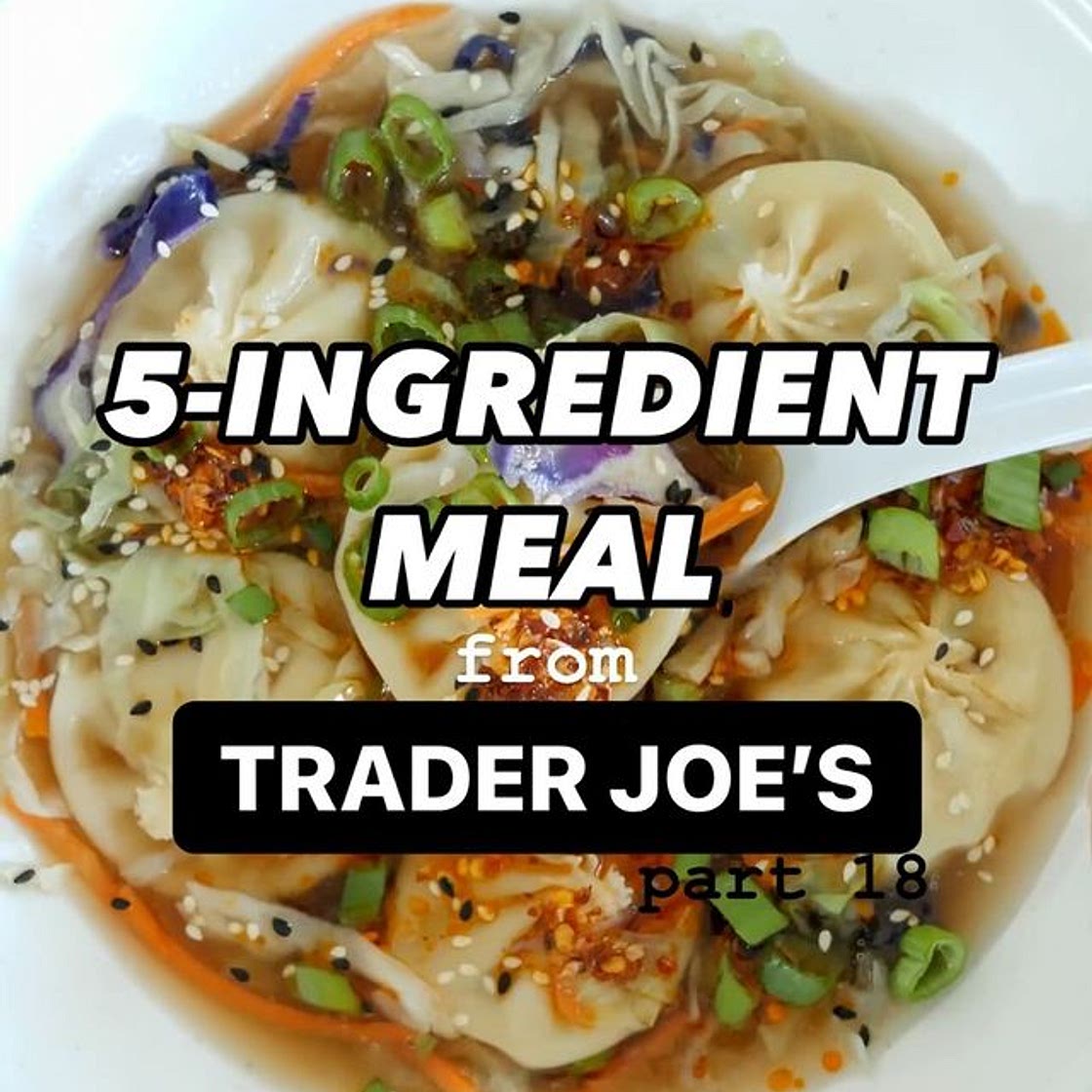 Veggie Chicken Dumpling Soup
