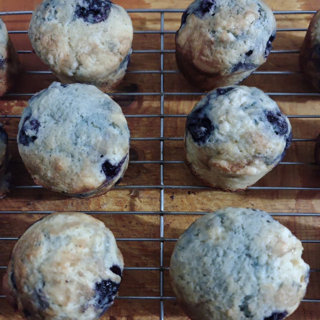 Blueberry Muffins