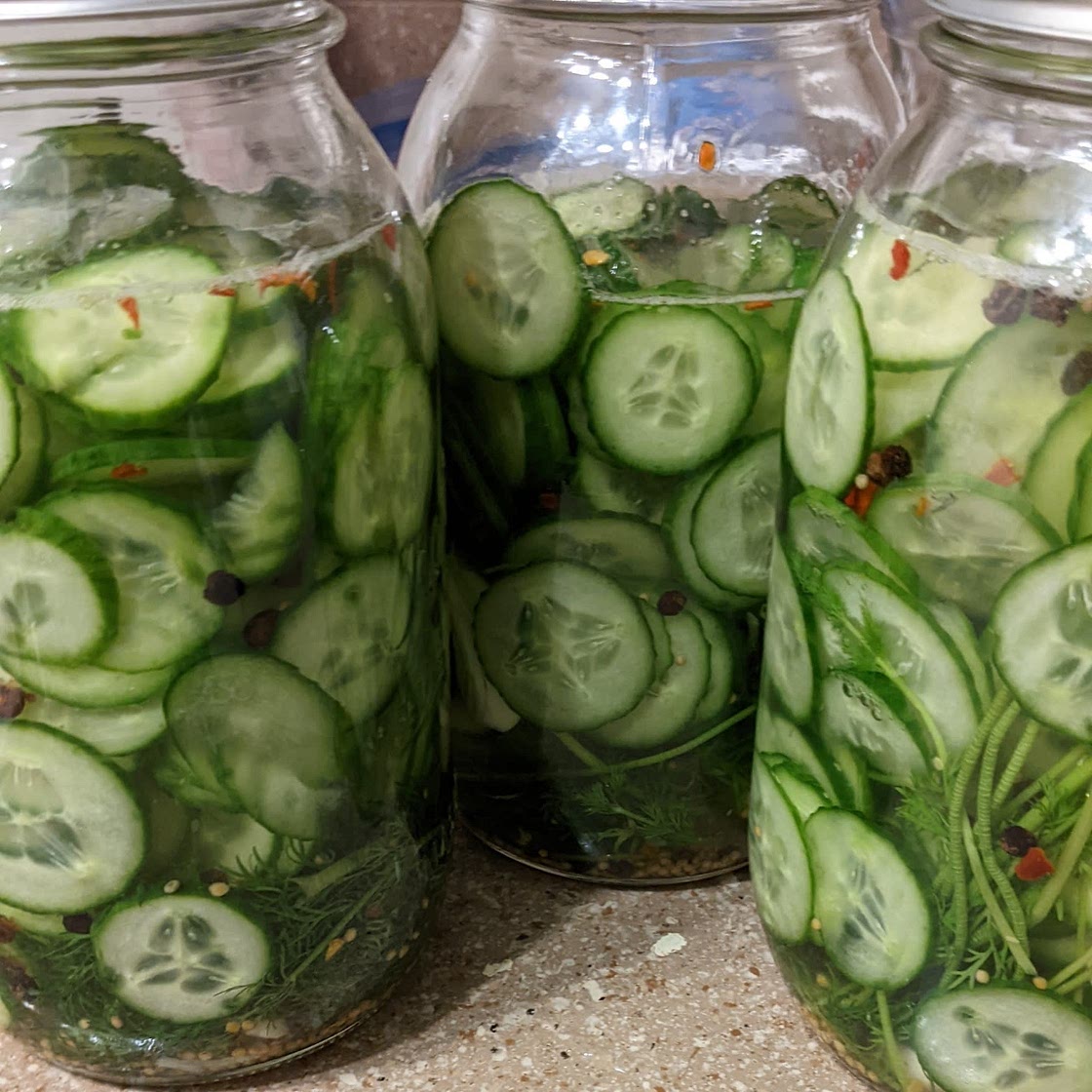 Dill Pickles