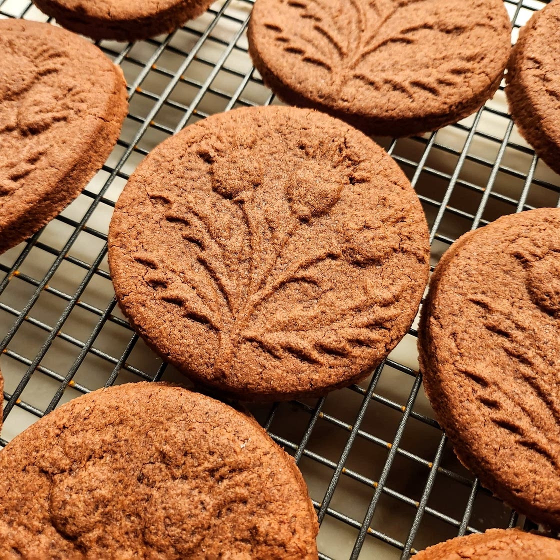 Chocolate sugar cookies ❄️