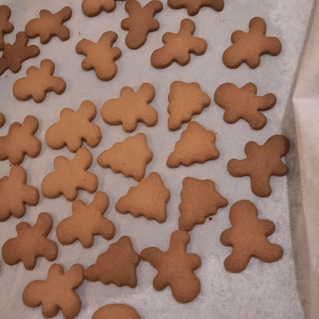 Chocolate sugar cookies ☃️❄️