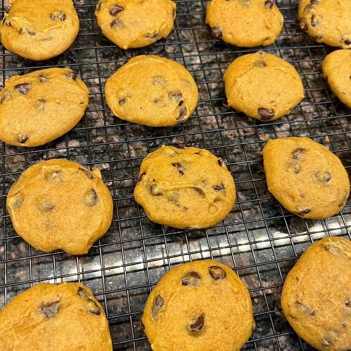 Pumpkin Chocolate Chip Cookies
