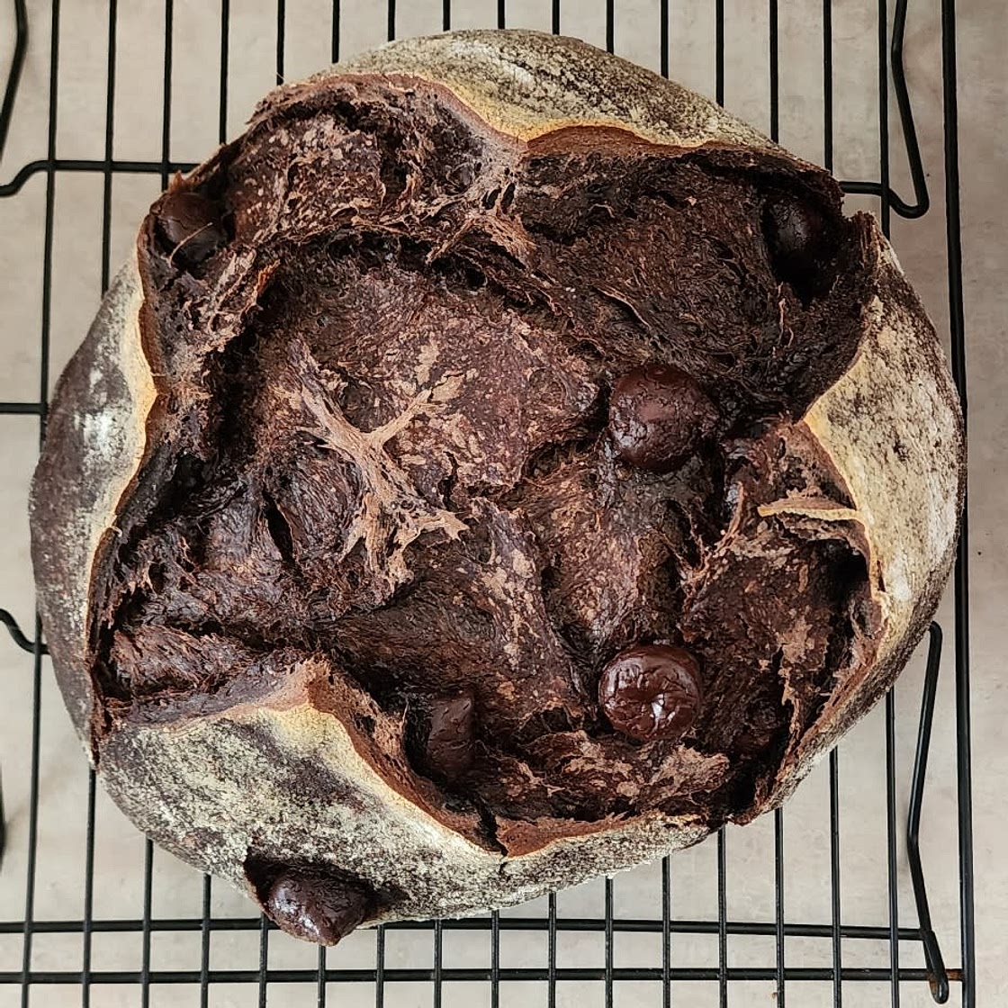 Chocolate Sourdough Bread