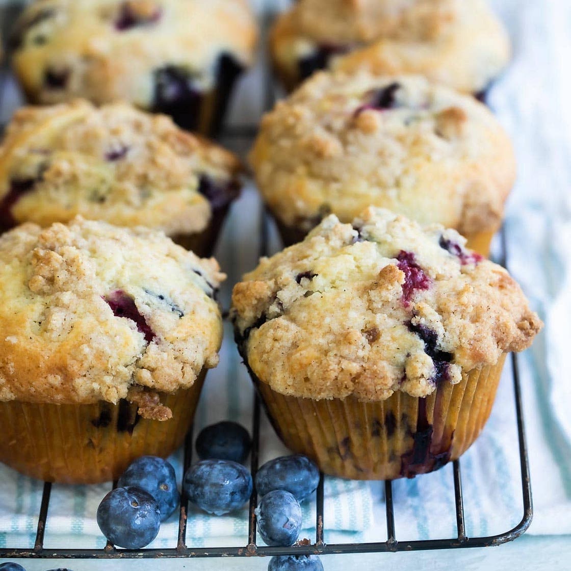 Blueberry Muffin
