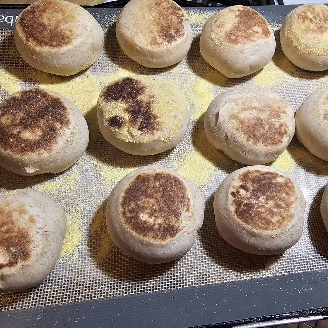 Sourdough English Muffins