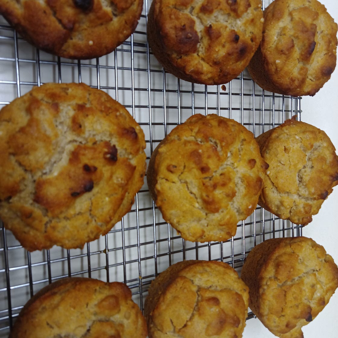 Brown Rice Muffins
