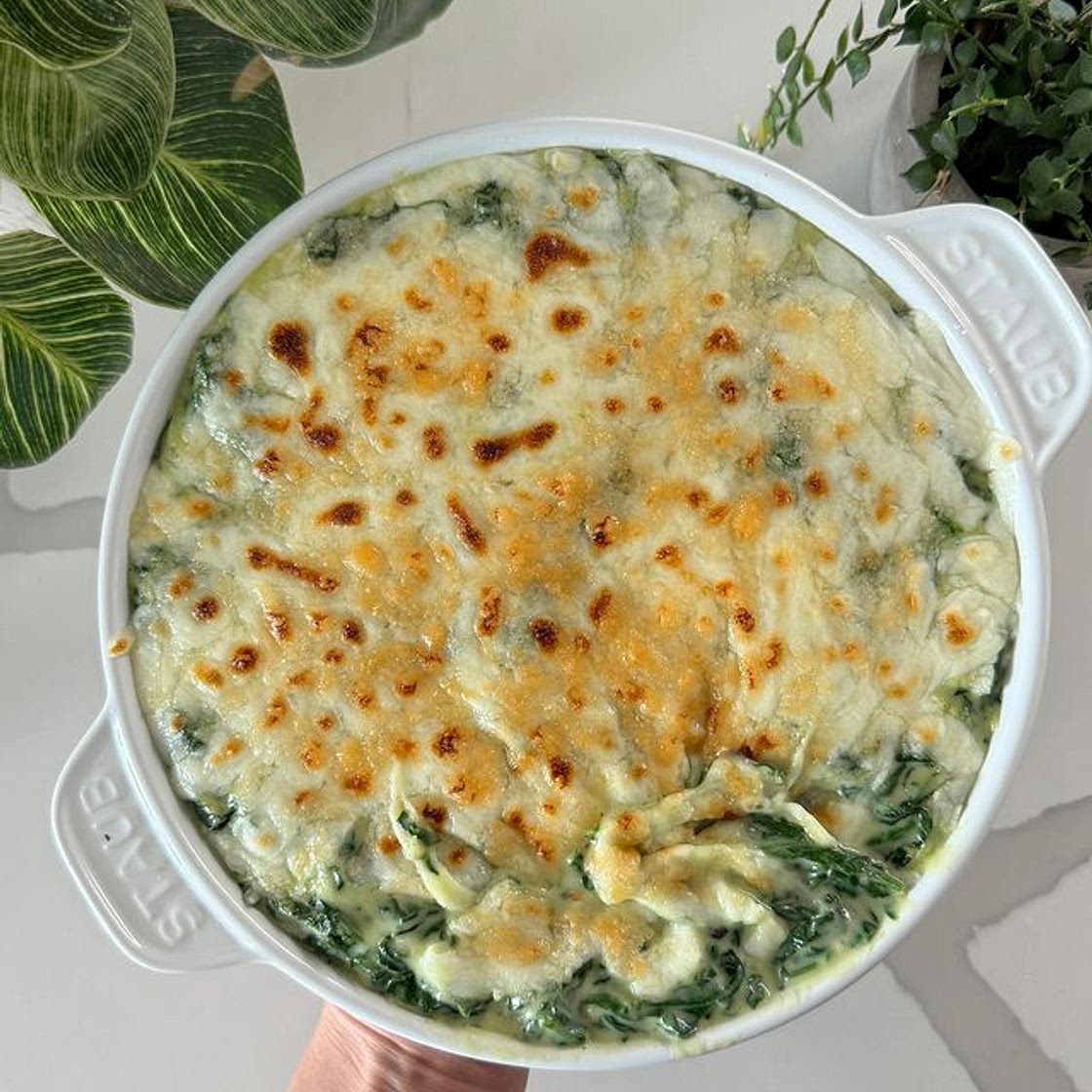 Creamed spinach au gratin