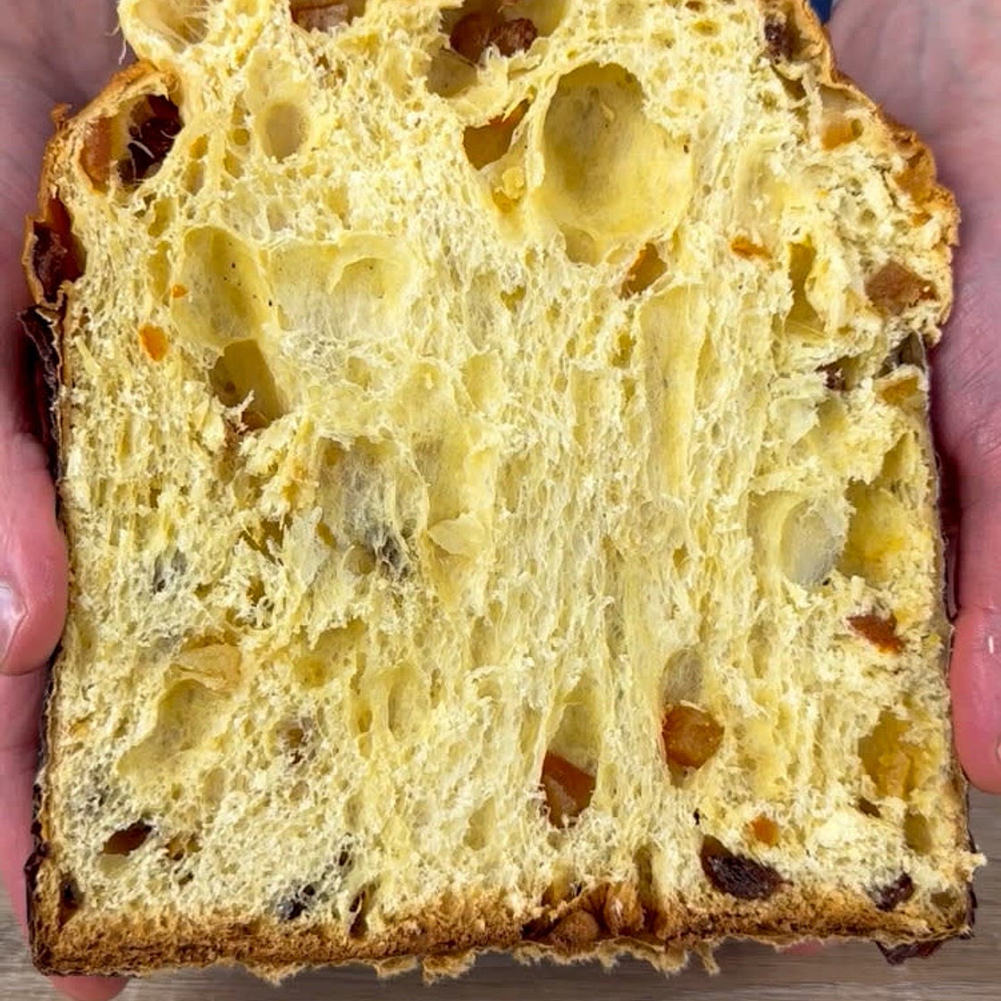 HOMEMADE PANETTONE
