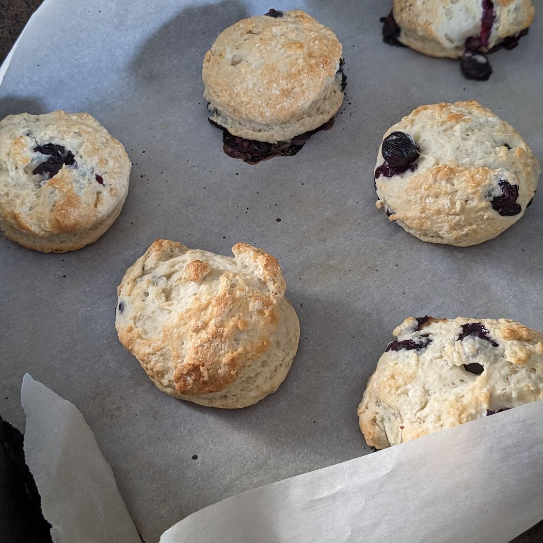 Blueberry Scones