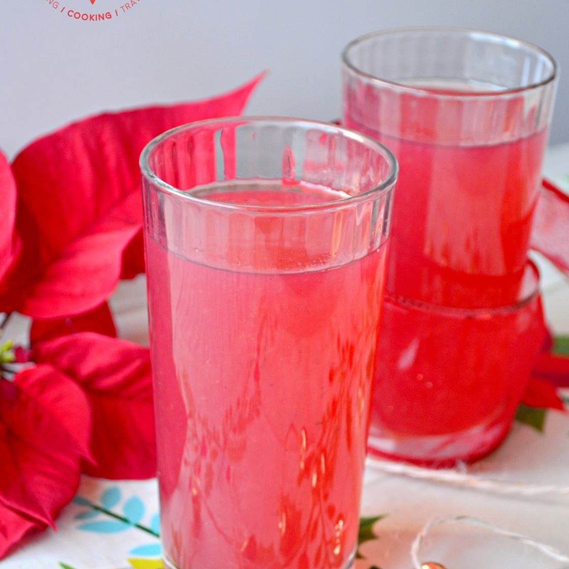 Cranberry Kissel / Spanguolių kisielius