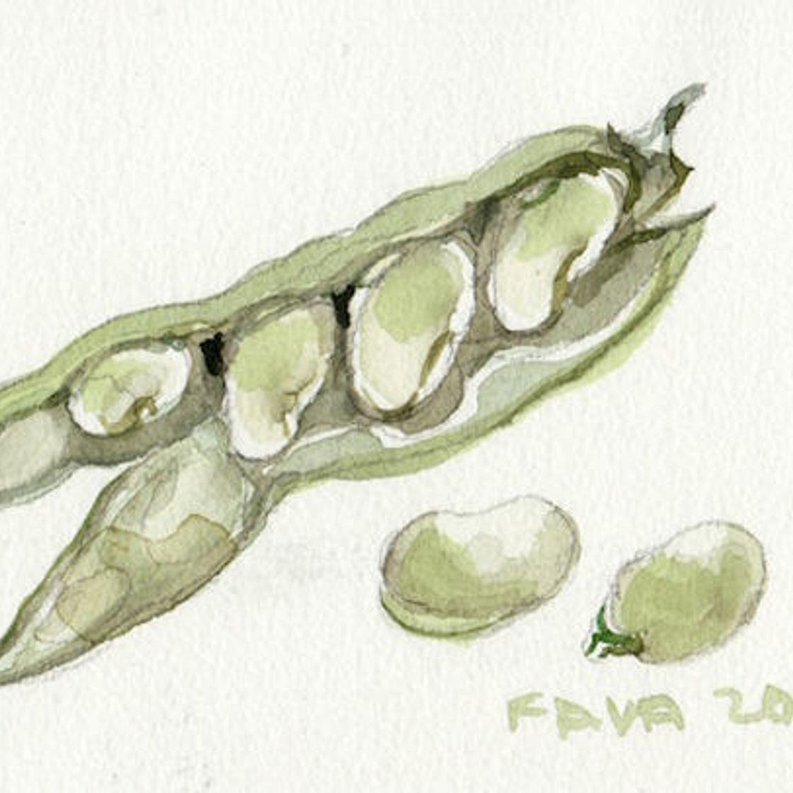 BROAD BEANS WITH FENNEL | Elisabethluard
