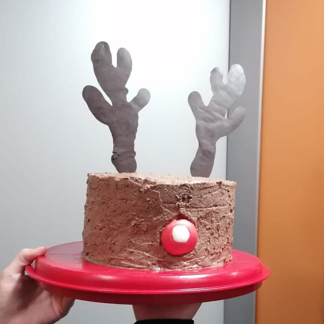 Torta renna