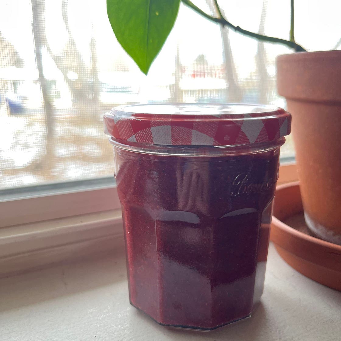 Chia Jammy
