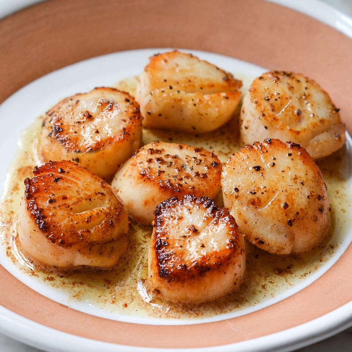 Scallops