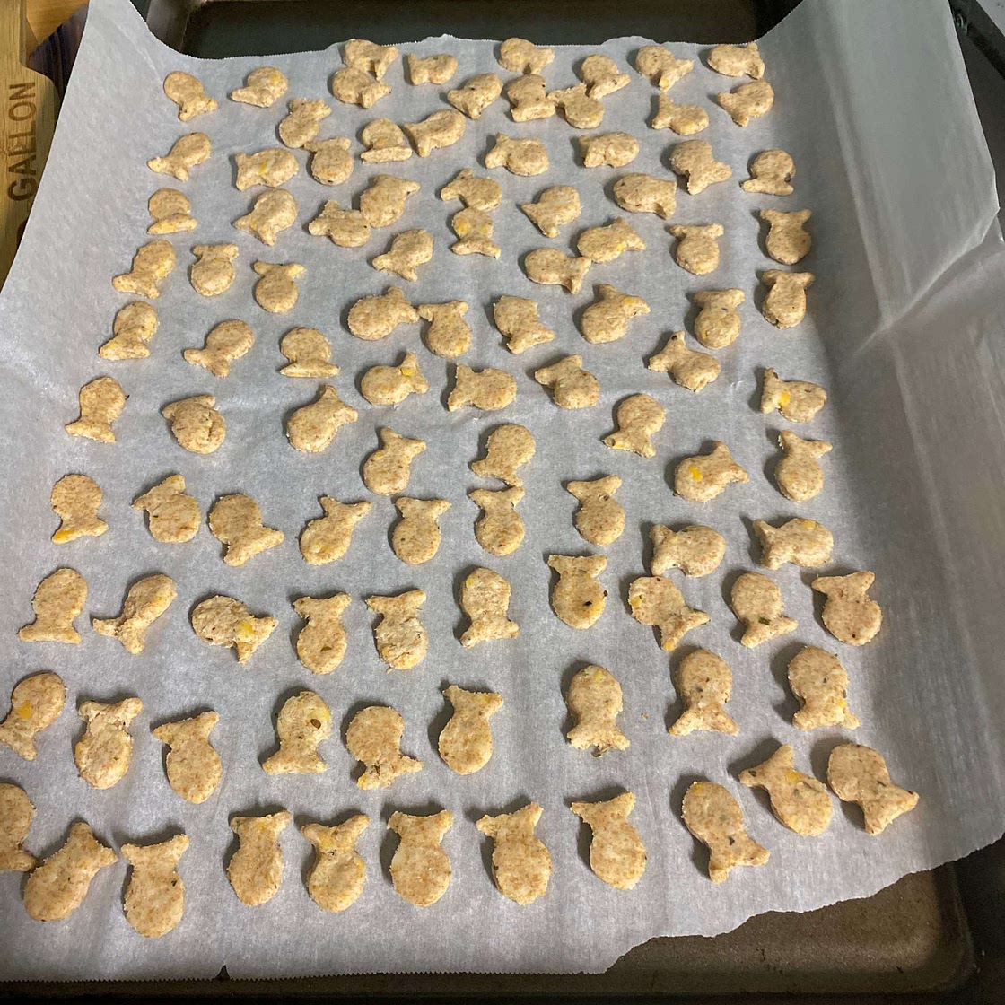Cheesy Sourdough Discard Crackers