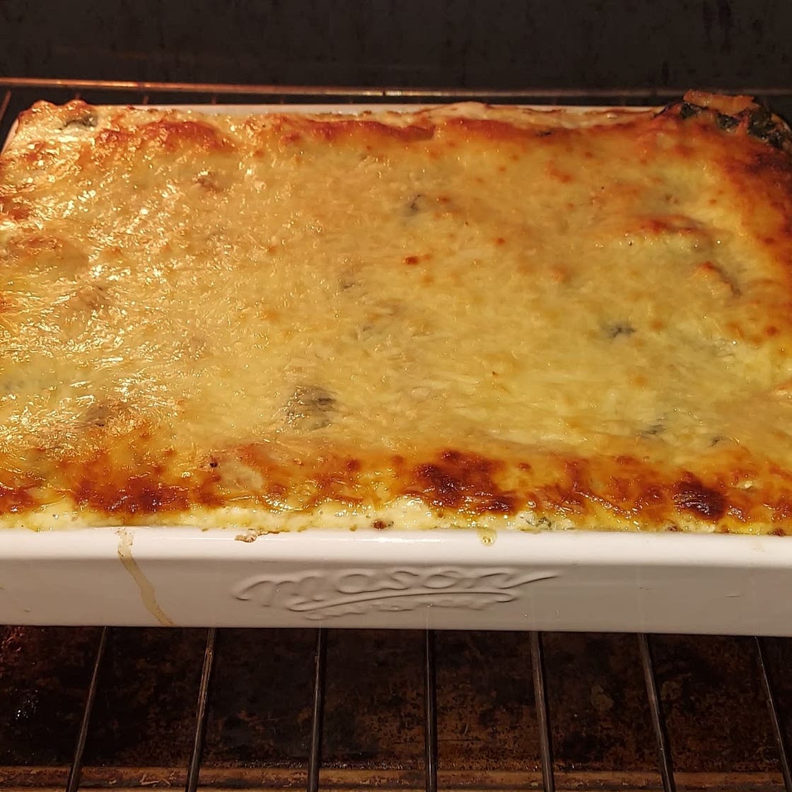Chicken Alfredo Lasagna