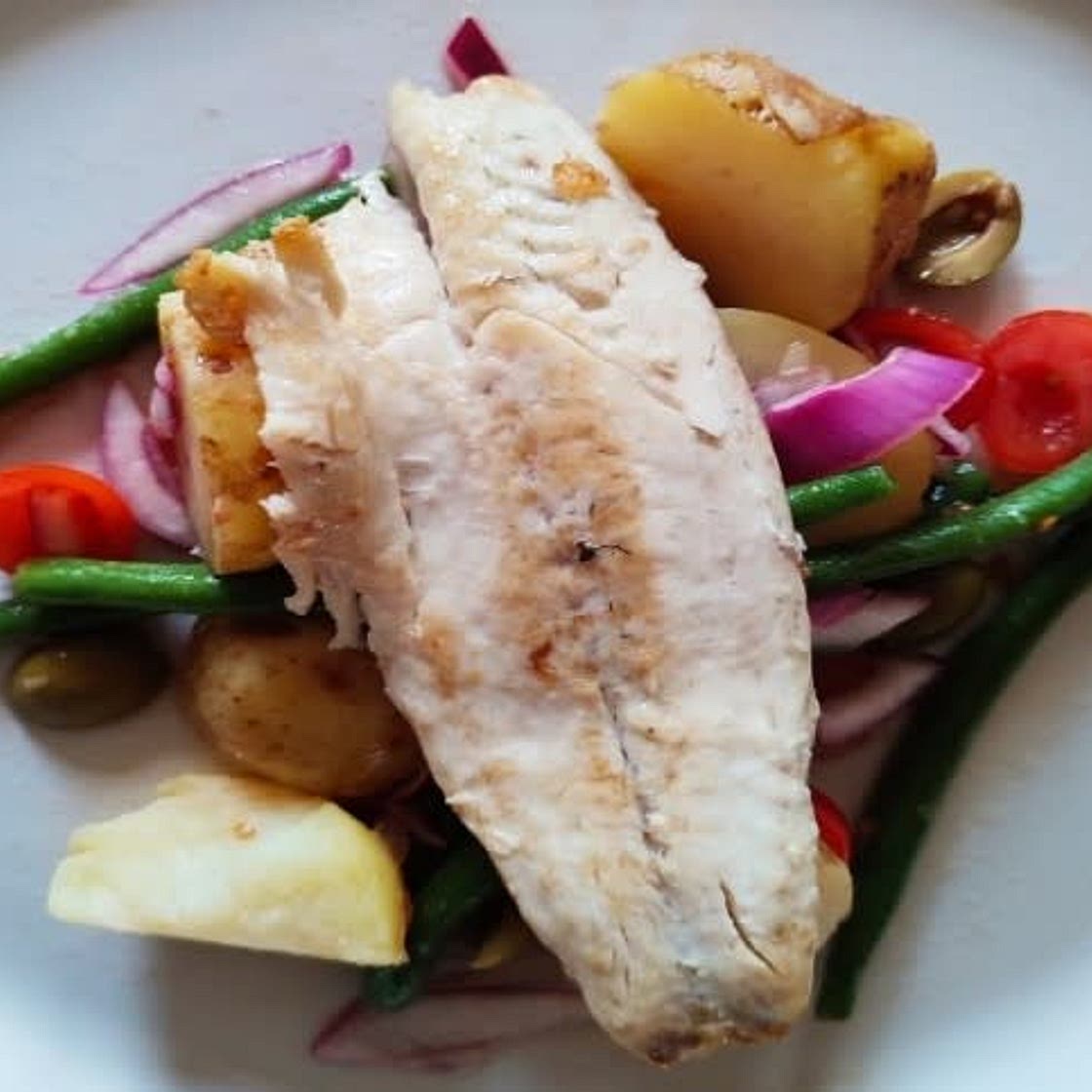 Mediterranean Sea Bass