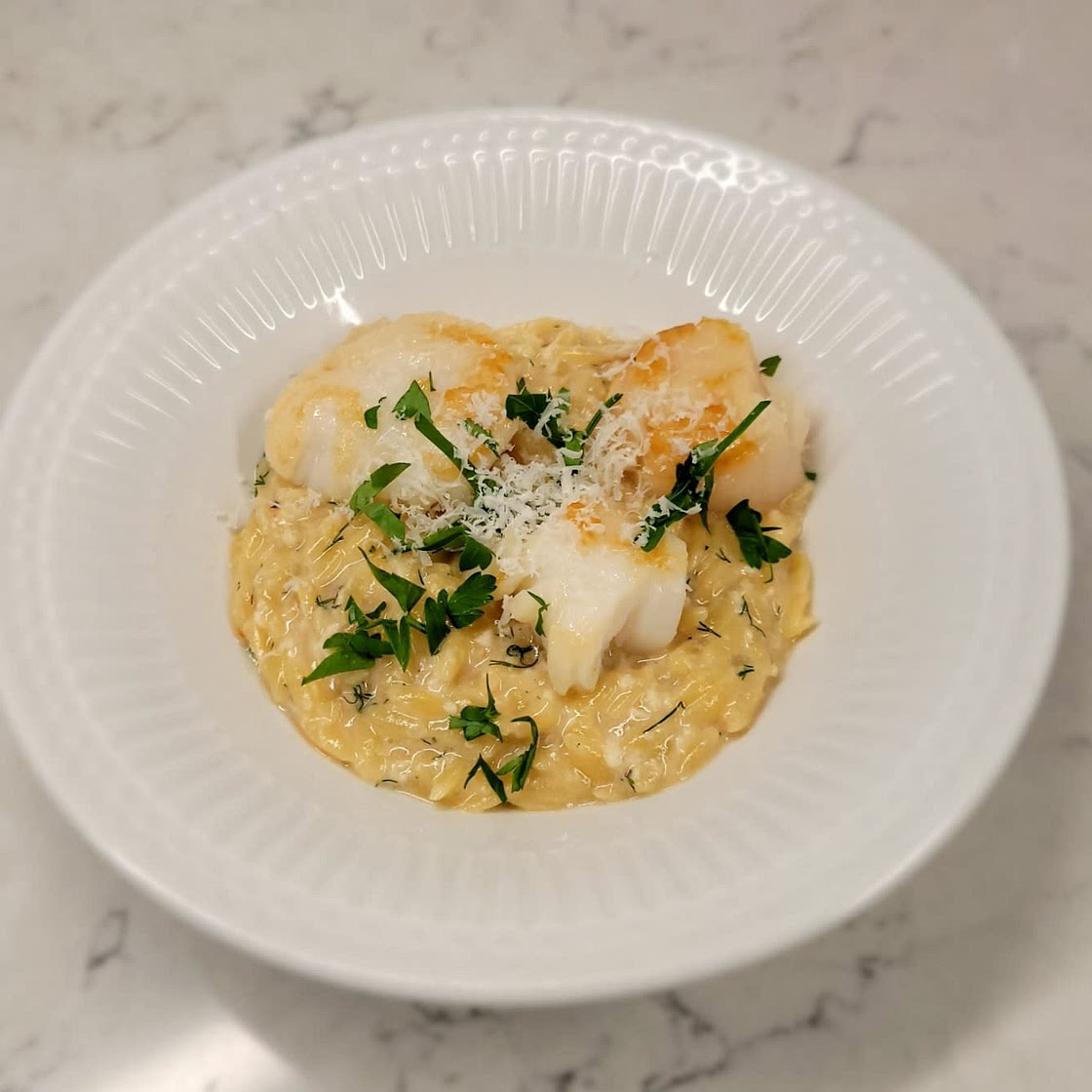 Creamy Lemon Dill Orzo with Seared Scallops