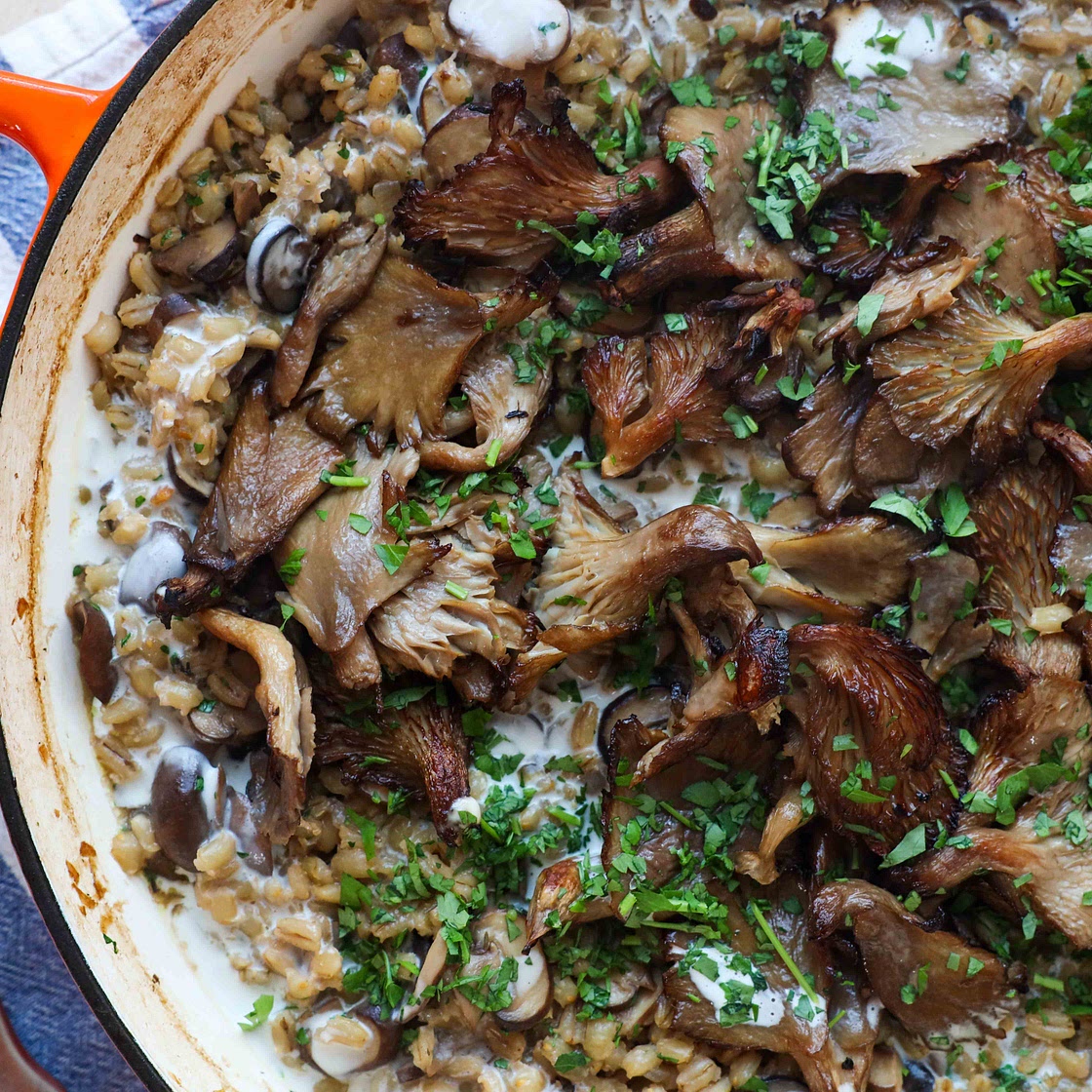 Mushroom Barley Bake with Balsamic Mushrooms | BOSH!