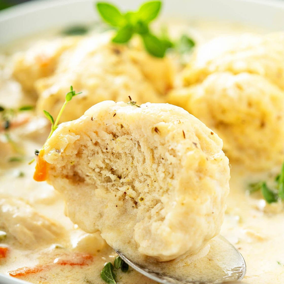 Chicken and Dumplings
