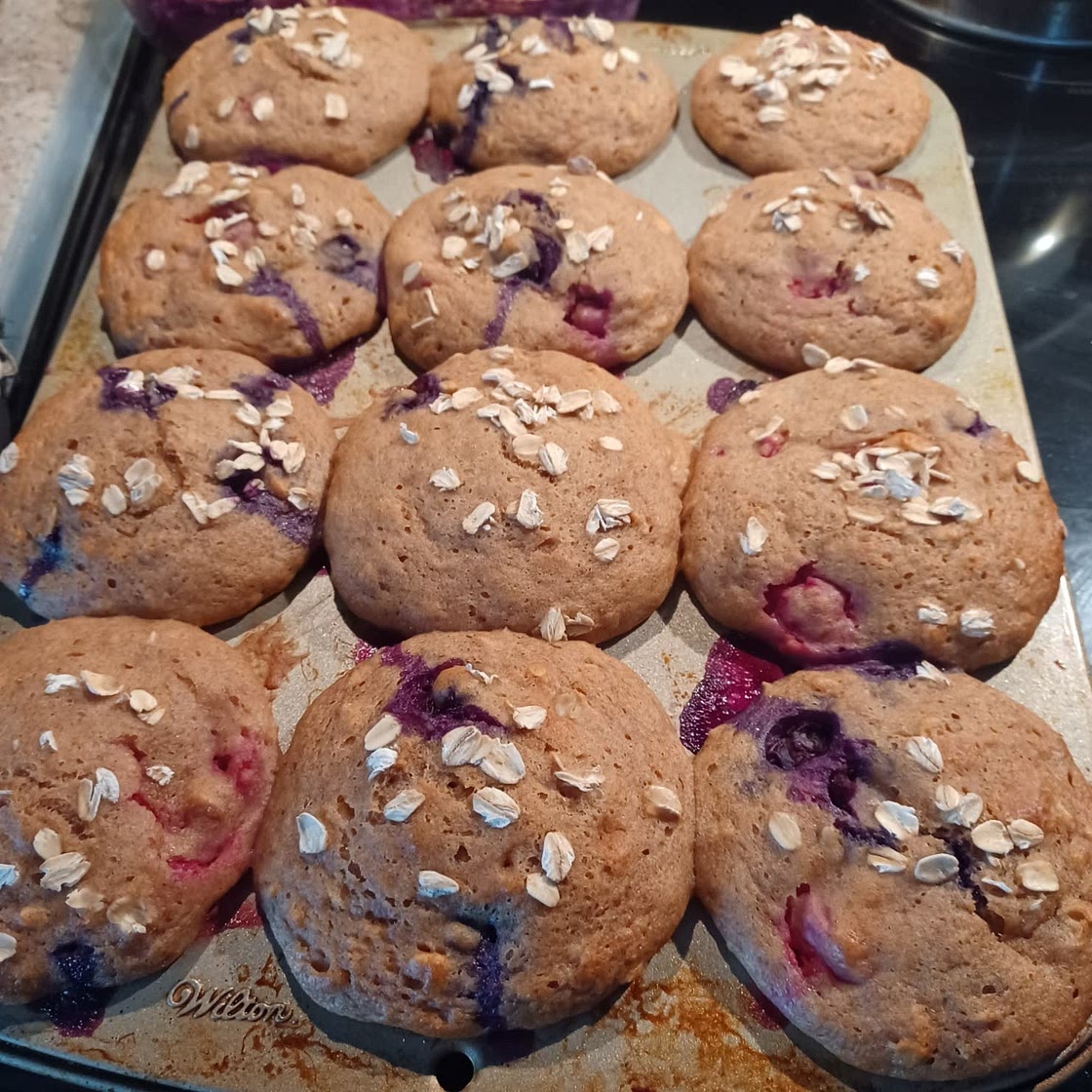 Protein Blueberry Muffins Recipe