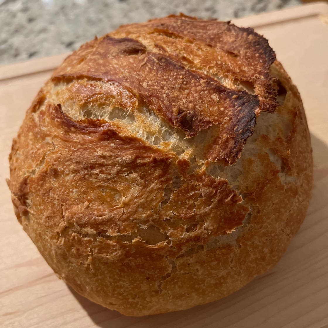 Easy Crusty Dutch Oven Bread