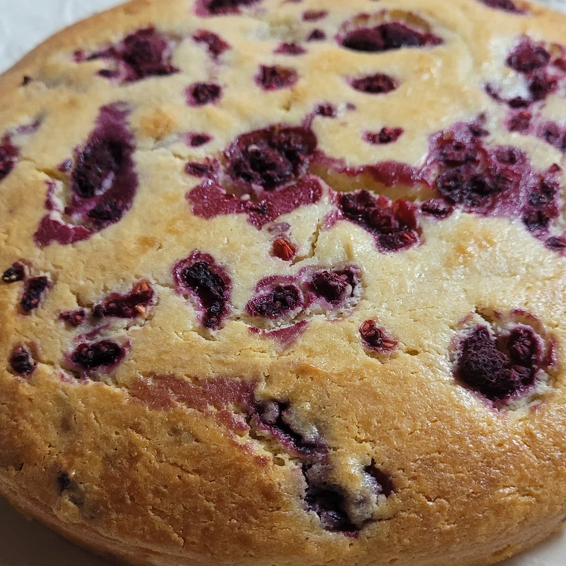 Raspberry-Ricotta Cake