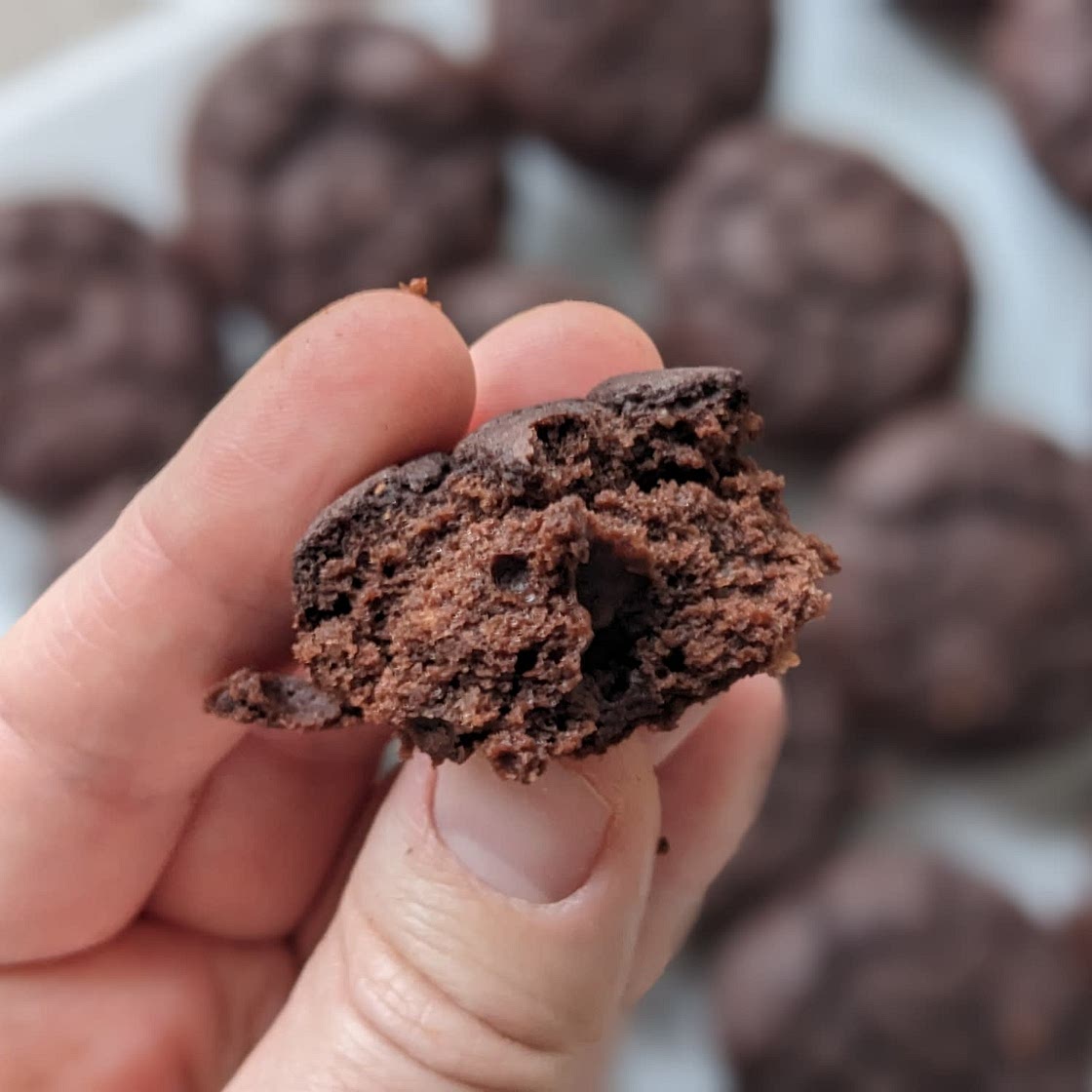Chocolate Black Bean Blender Muffins {High Protein}