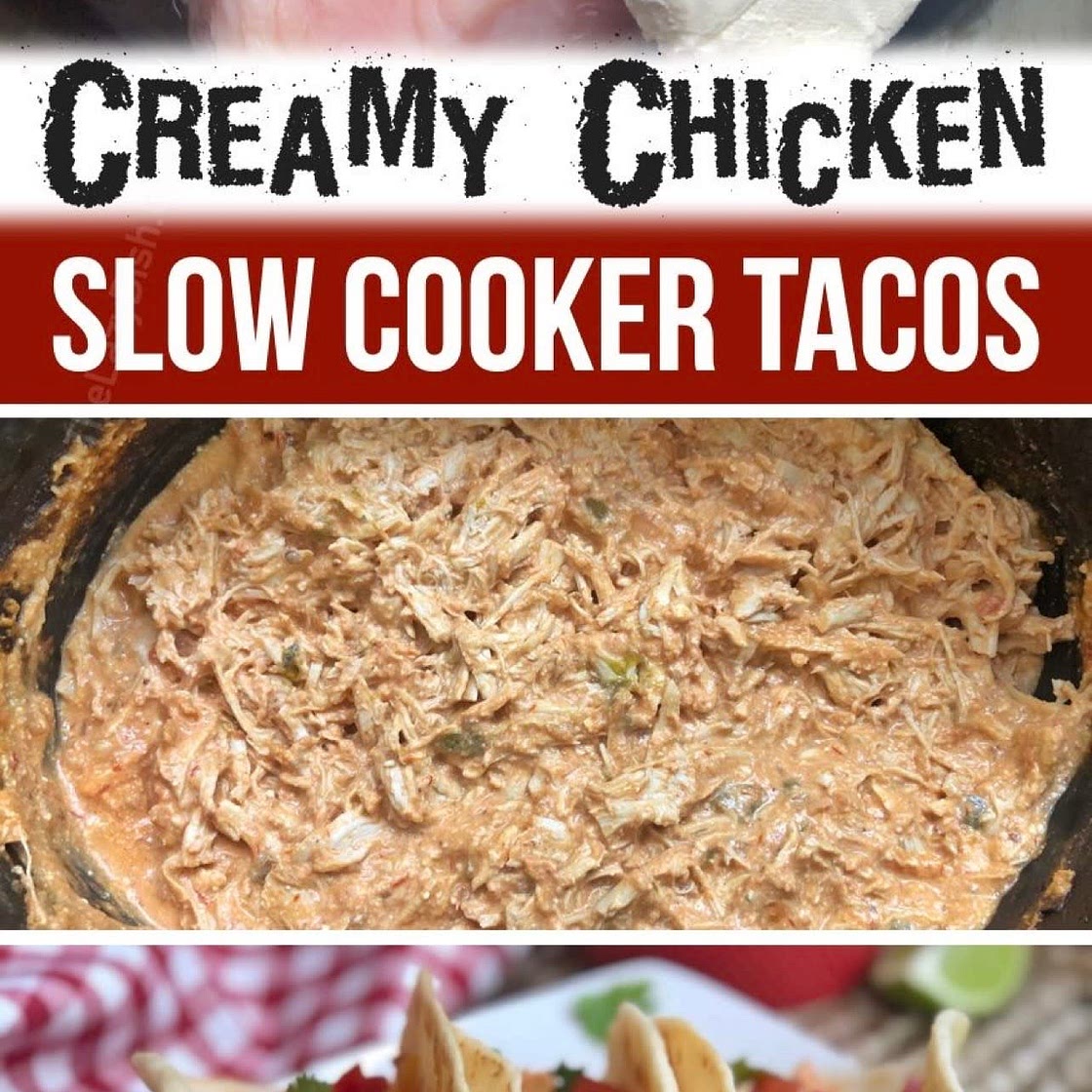 creamy crockpot chicken tacos