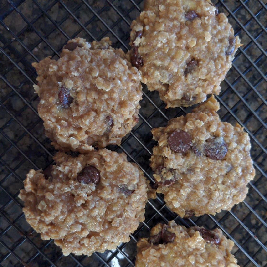 4 Ingredient Flourless Healthy Oatmeal Cookies