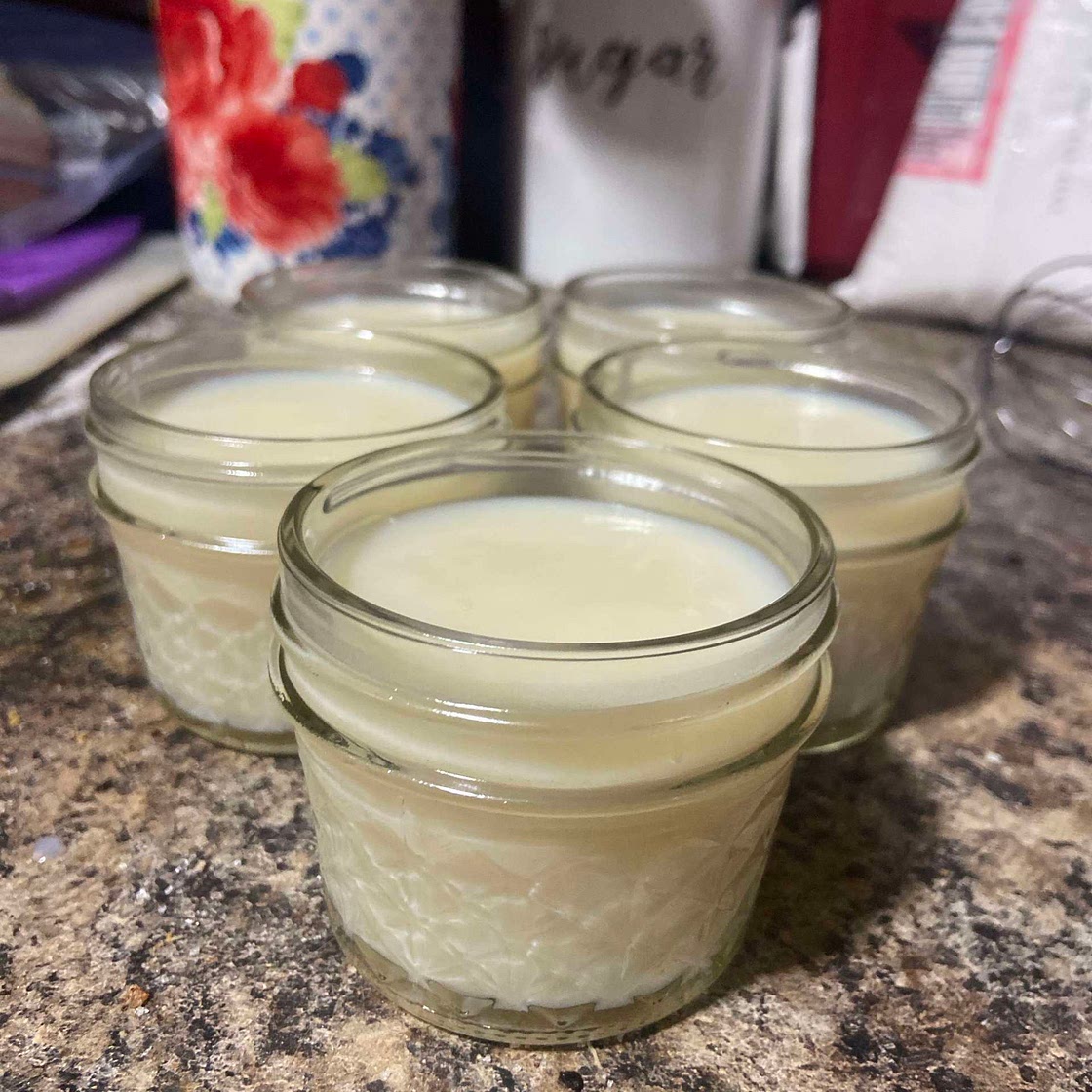 Homemade vanilla pudding 