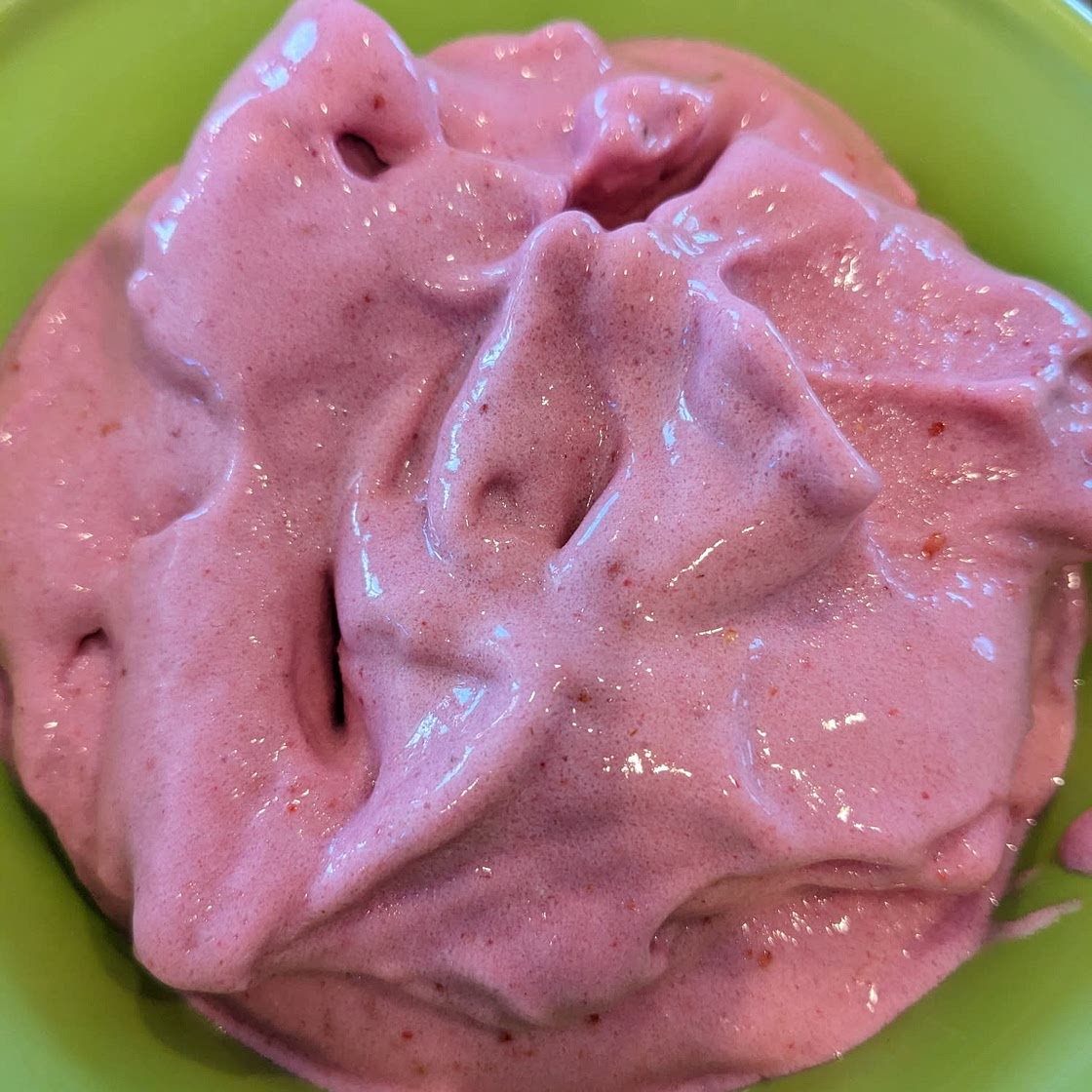 low cal protein ice cream