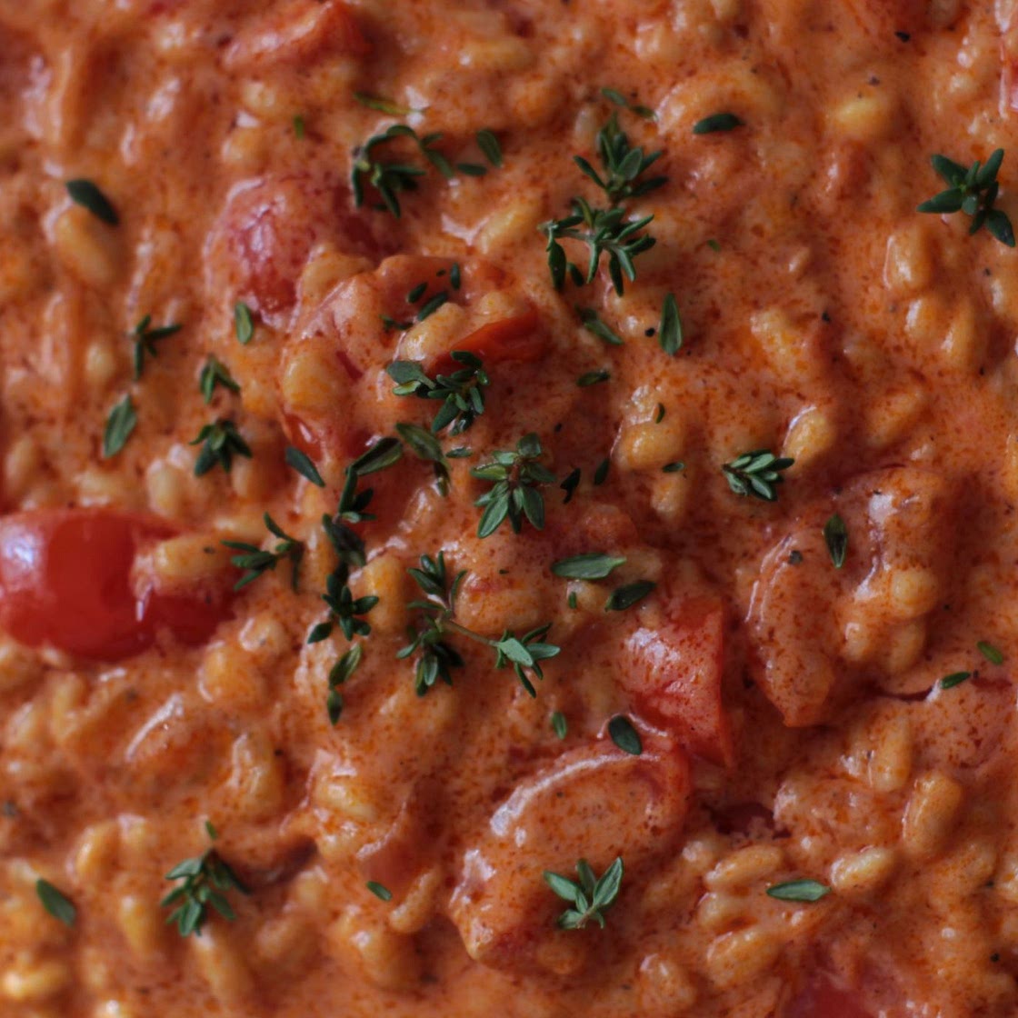 orzo al pomodoro cremoso