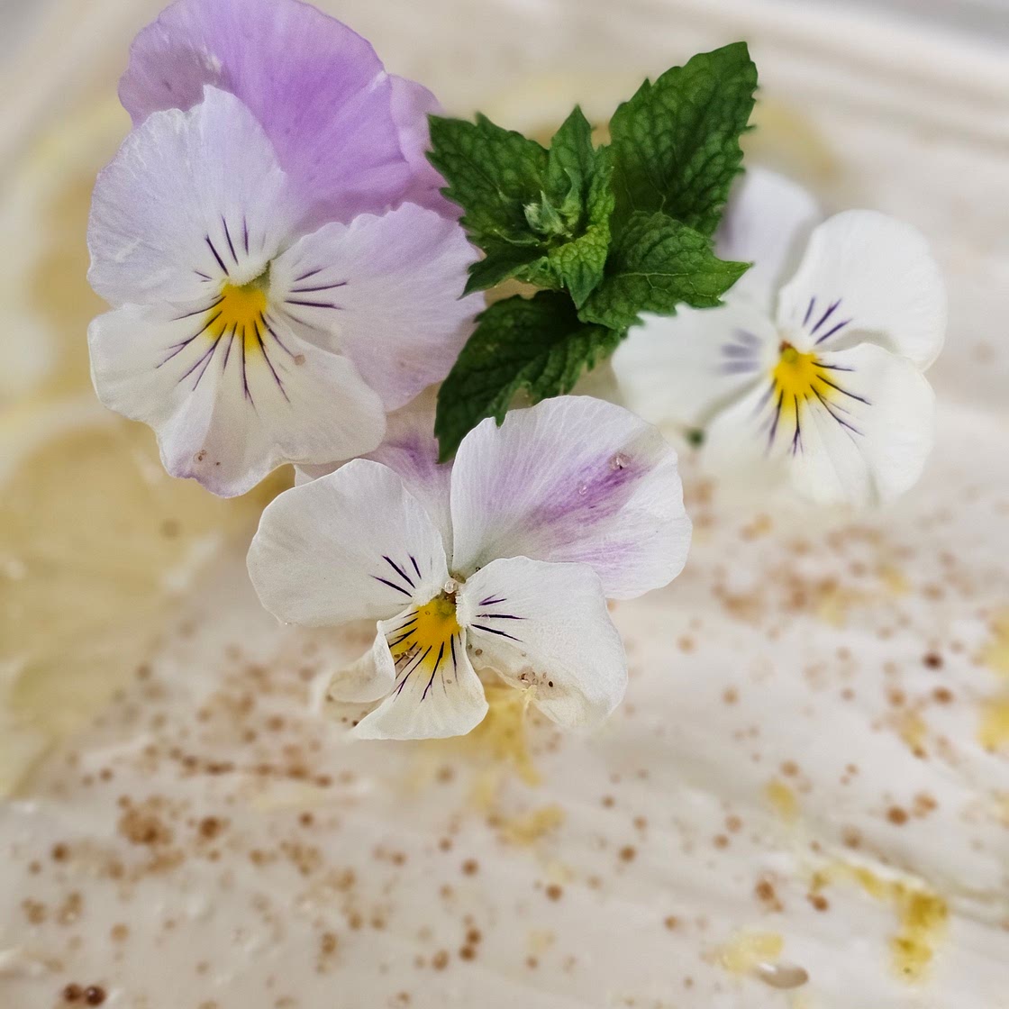 Ricotta mousse Bagynskiy