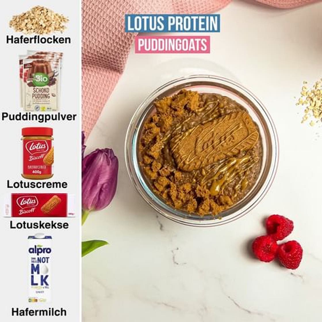 LOTUS PROTEIN PUDDINGOATS
