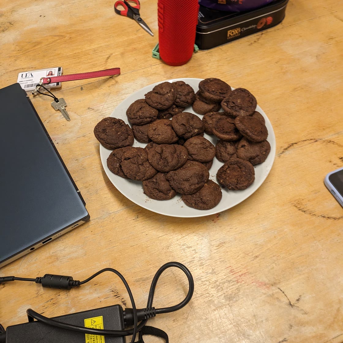 Double chocolate cookies