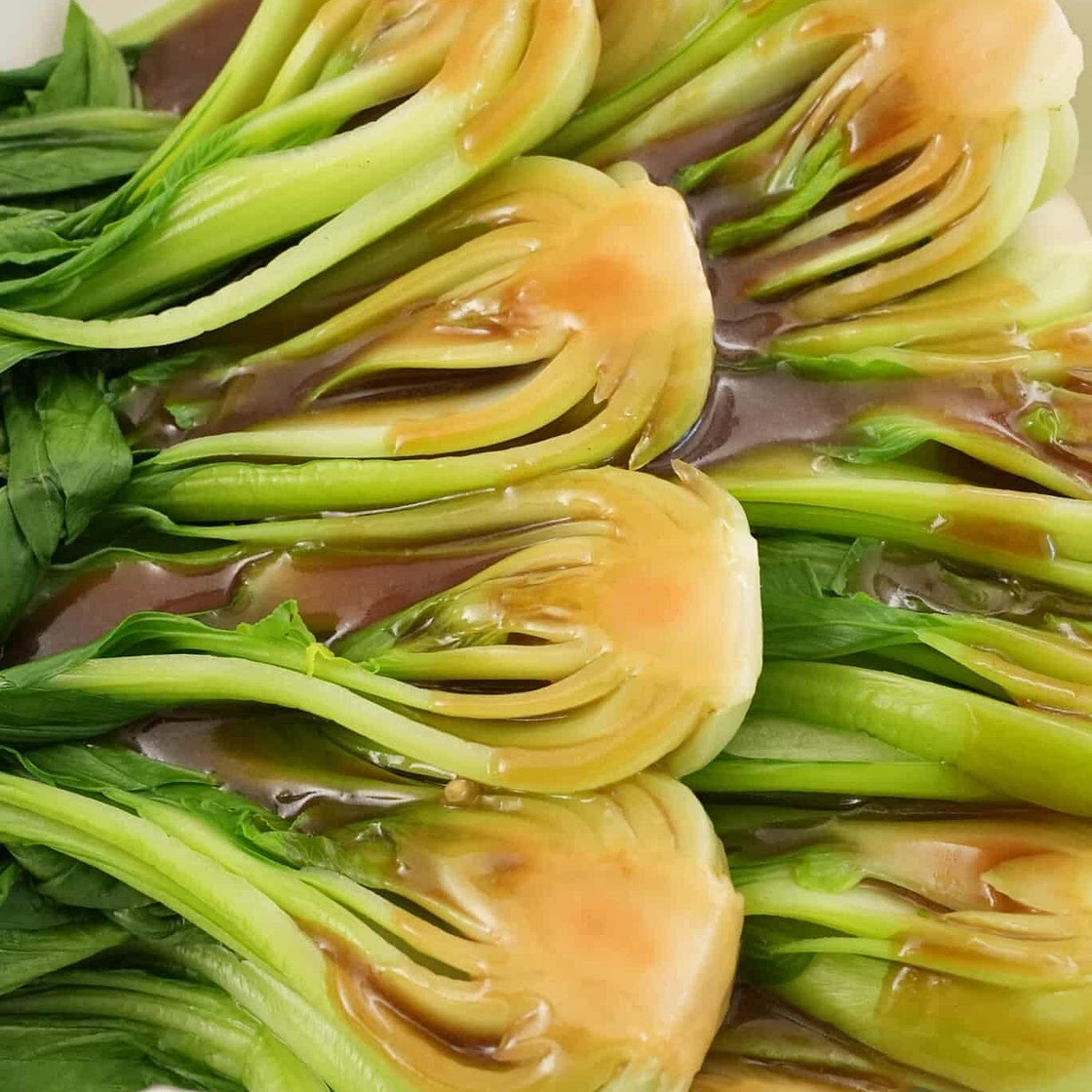 Bok Choy with Oyster Sauce