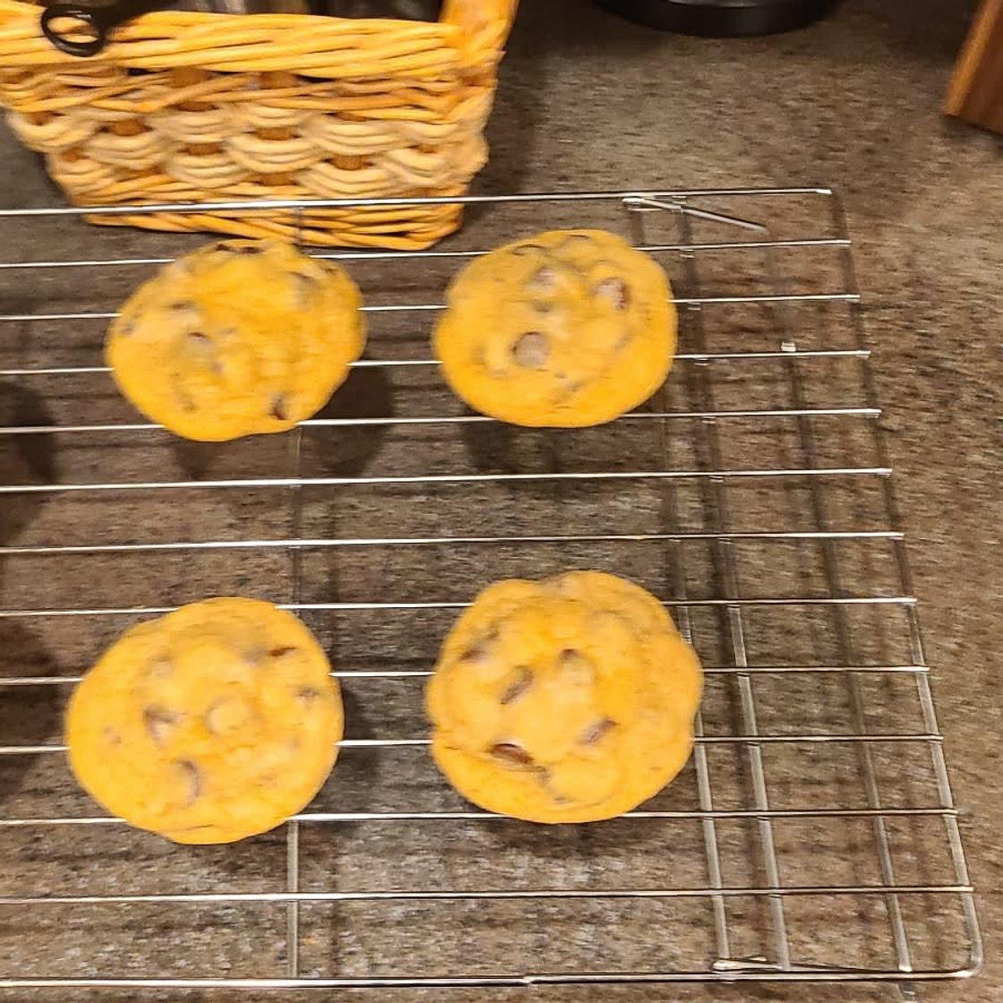 Disney Floridian Hotel Chocolate Chip Cookie Recipe