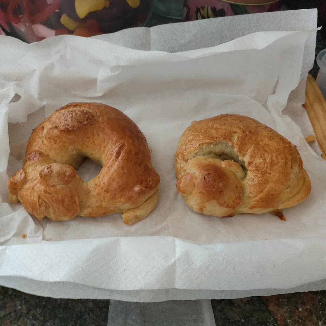 Everything Bagels (beagles) 🐶