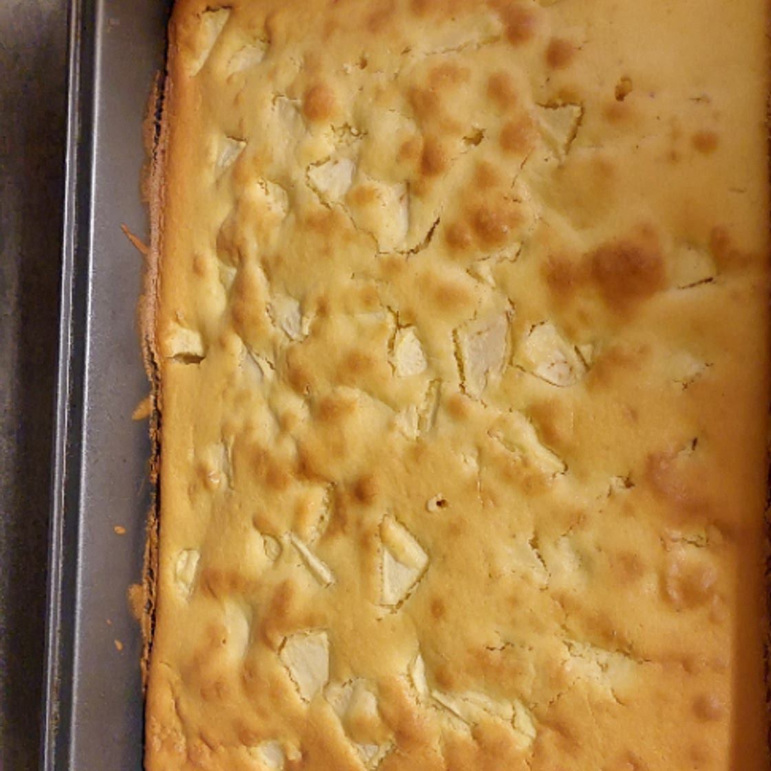 Apfelkuchen mit Vanillepudding
