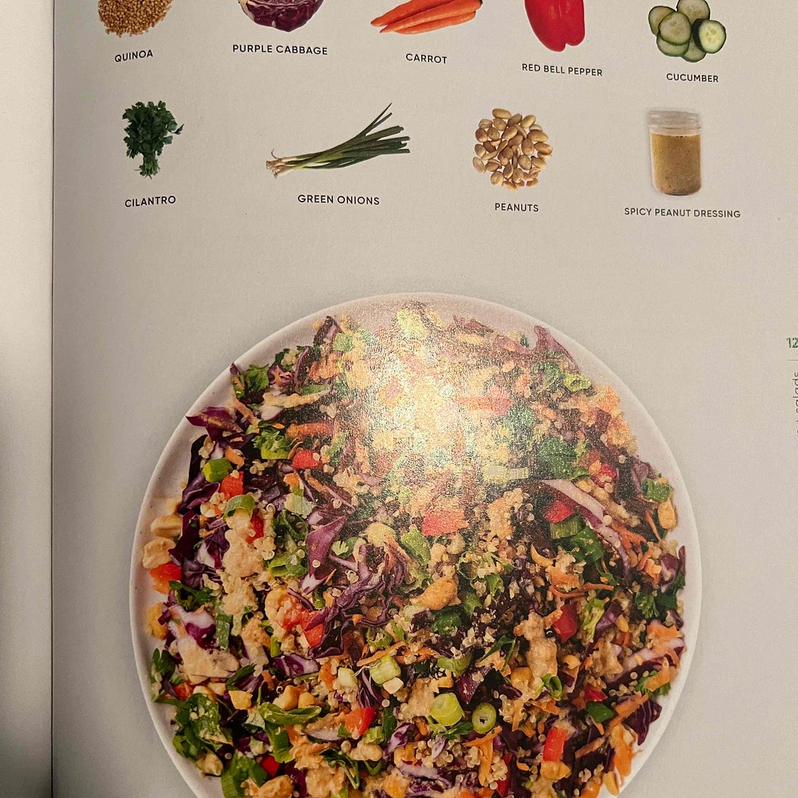 Crunchy peanut shredded salad