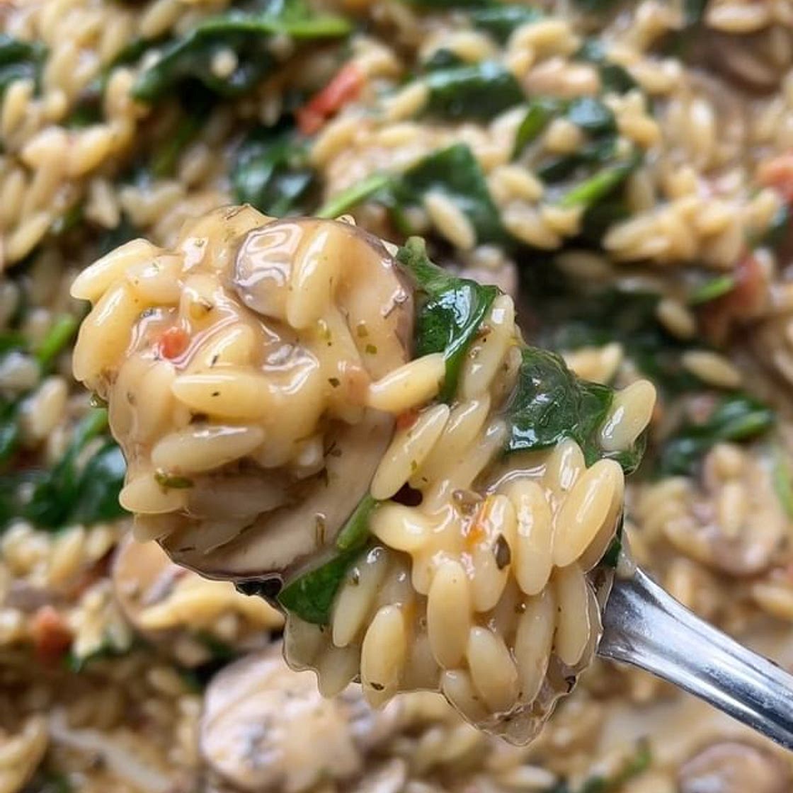 Creamy Mushroom & Sundried Tomatoes Orzo