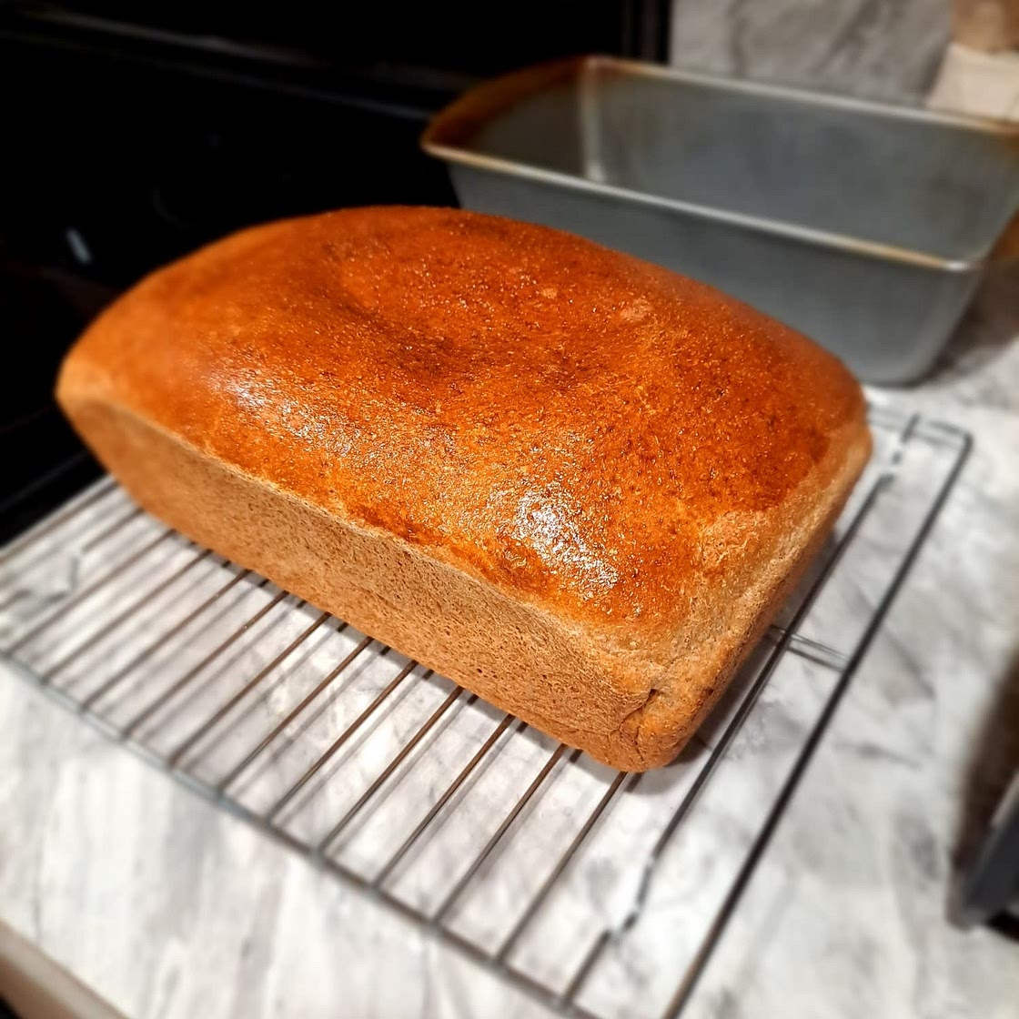 Whole Wheat Bread